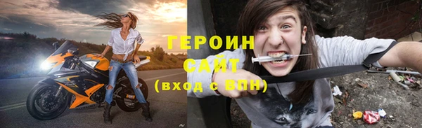 индика Гусев