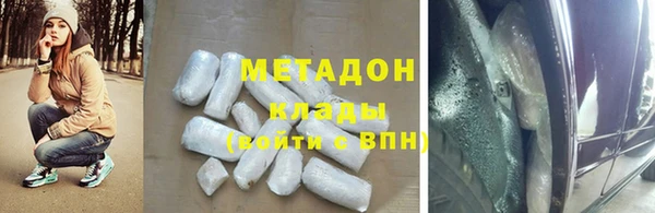 индика Гусев