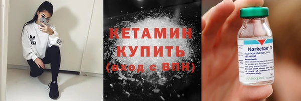 индика Гусев