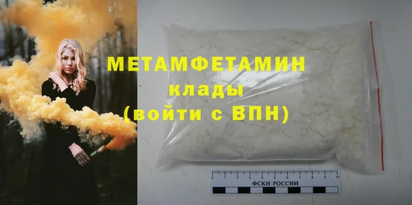 индика Гусев