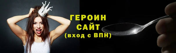 индика Гусев