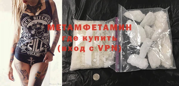 индика Гусев