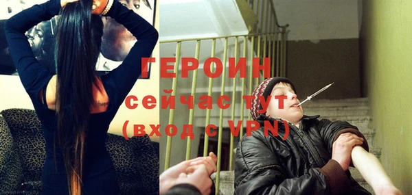 индика Гусев