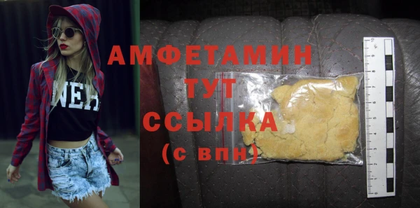 индика Гусев