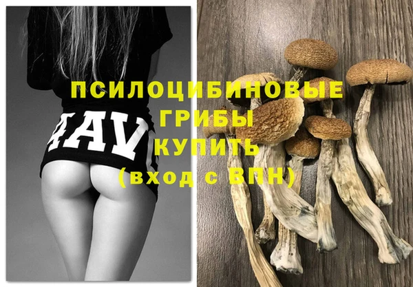 mix Долгопрудный