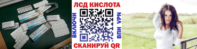МЕГА ссылка  Жердевка  LSD-25 экстази кислота  как найти наркотики 